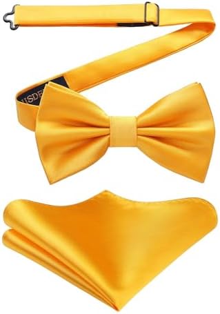 Herre Butterfly-sæt Med Paisleymønster – Elegante Accessories Til Bryllupper, Fester Og Formelle Begivenheder