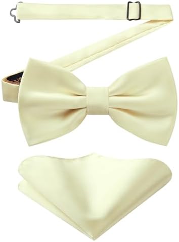 Herre Butterfly-sæt Med Paisleymønster – Elegante Accessories Til Bryllupper, Fester Og Formelle Begivenheder