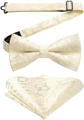 Herre Butterfly-sæt Med Paisleymønster – Elegante Accessories Til Bryllupper, Fester Og Formelle Begivenheder