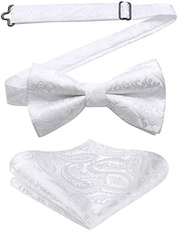 Herre Butterfly-sæt Med Paisleymønster – Elegante Accessories Til Bryllupper, Fester Og Formelle Begivenheder