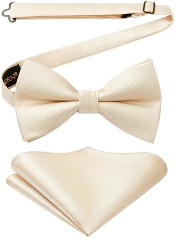 Herre Butterfly-sæt Med Paisleymønster – Elegante Accessories Til Bryllupper, Fester Og Formelle Begivenheder